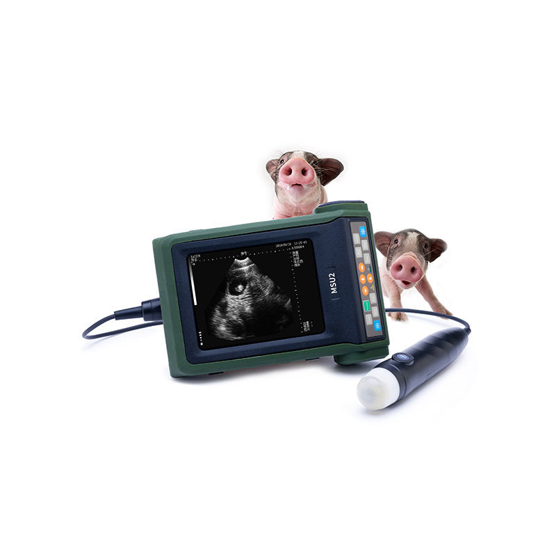 Sf8f9d2bf2fe74a6c85e9392f0df96b31c