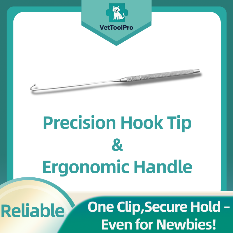 Sf916c6d49f914bde866ef57a7f798b34T