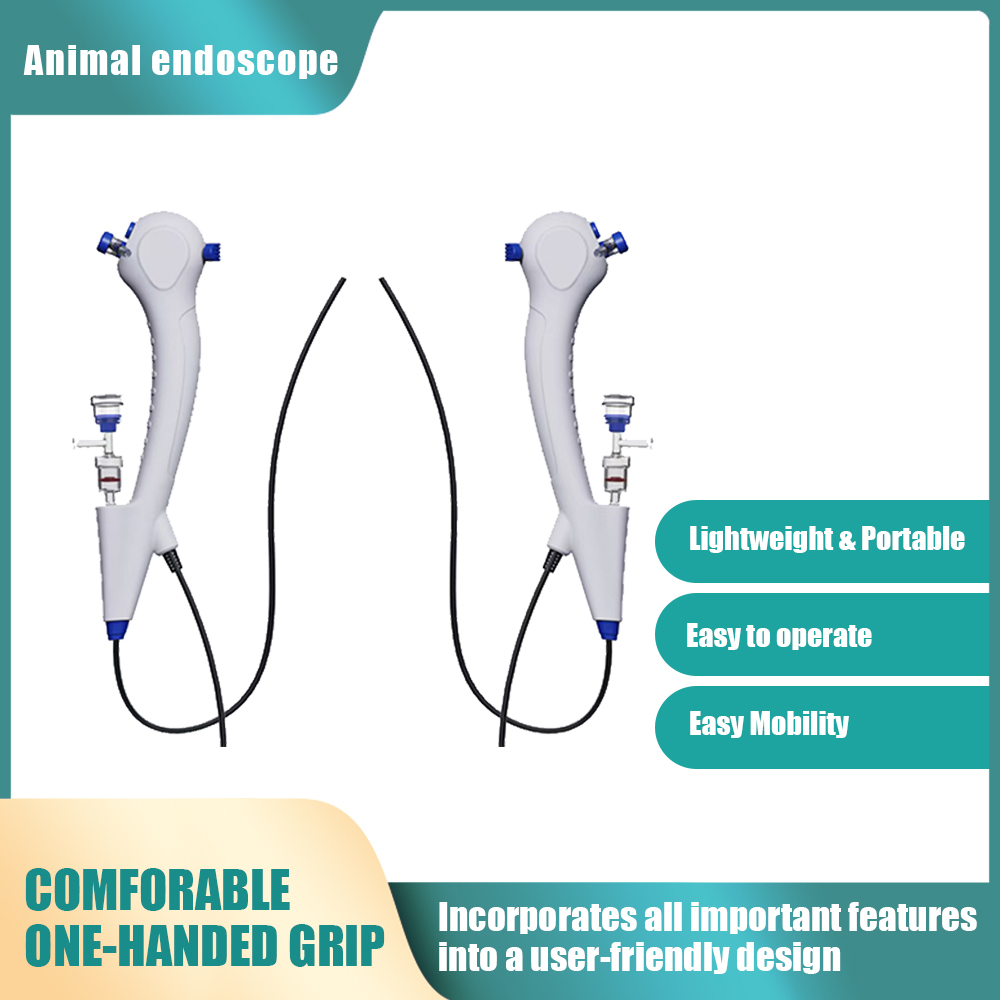 Sfa4d8bfccb1d40ac9916a09c94fac187w