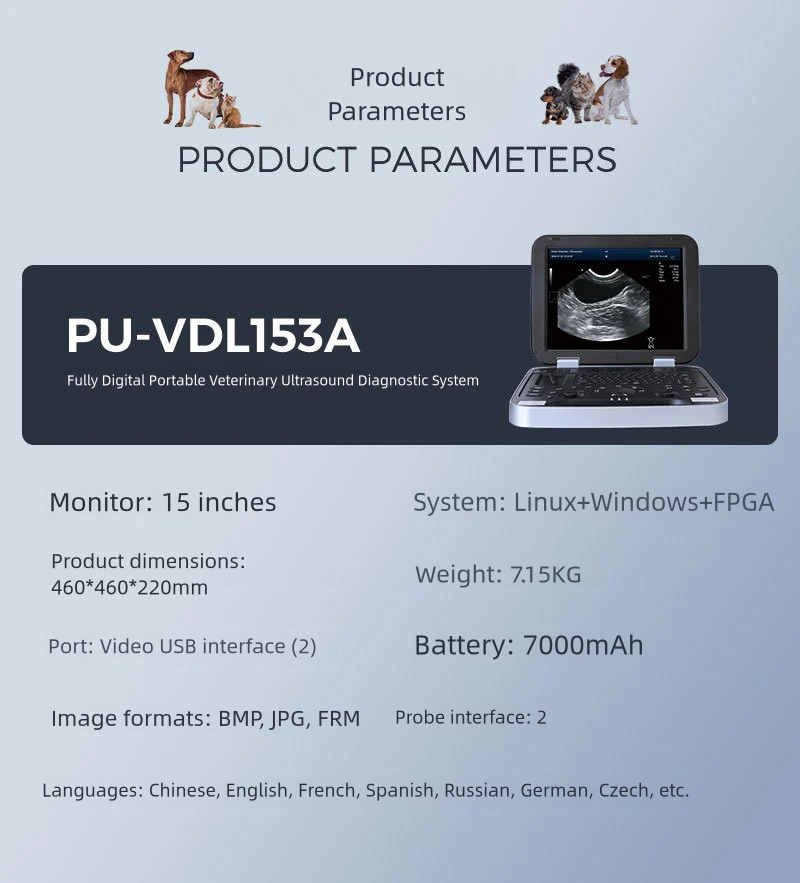 Sfb7bc08545834b729e6d9a2cb3949b99S-1