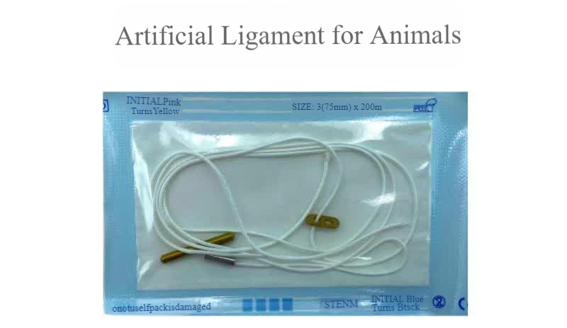 Sfe42f987a84f4204bab63732e7e8c8157-1