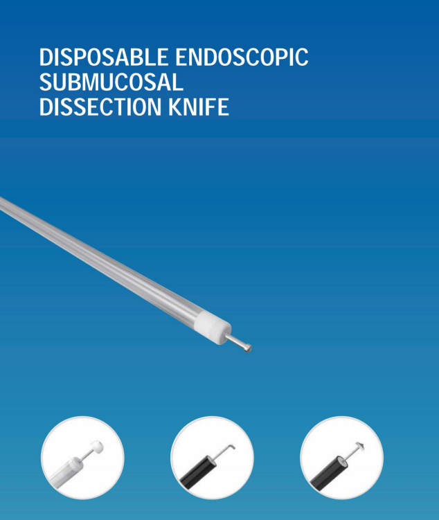 Sfe54c55373fd4031ab674dc4b174fcf15-1